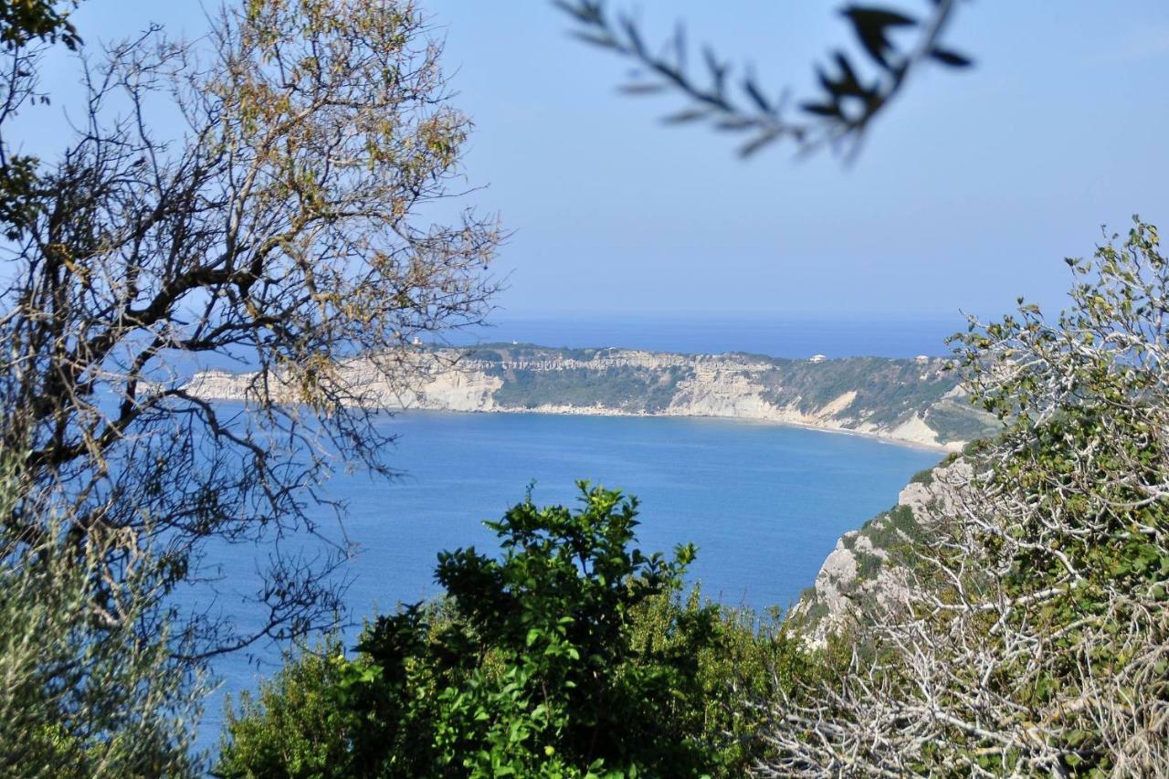 Villa Meli Afionas Corfu Exterior foto